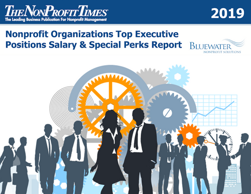 2019 Nonprofit Organizations Top Executive Positions Salary and Special Perks Report