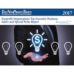 2017 Nonprofit Organizations Top Executive Positions Salary and Special Perks Report